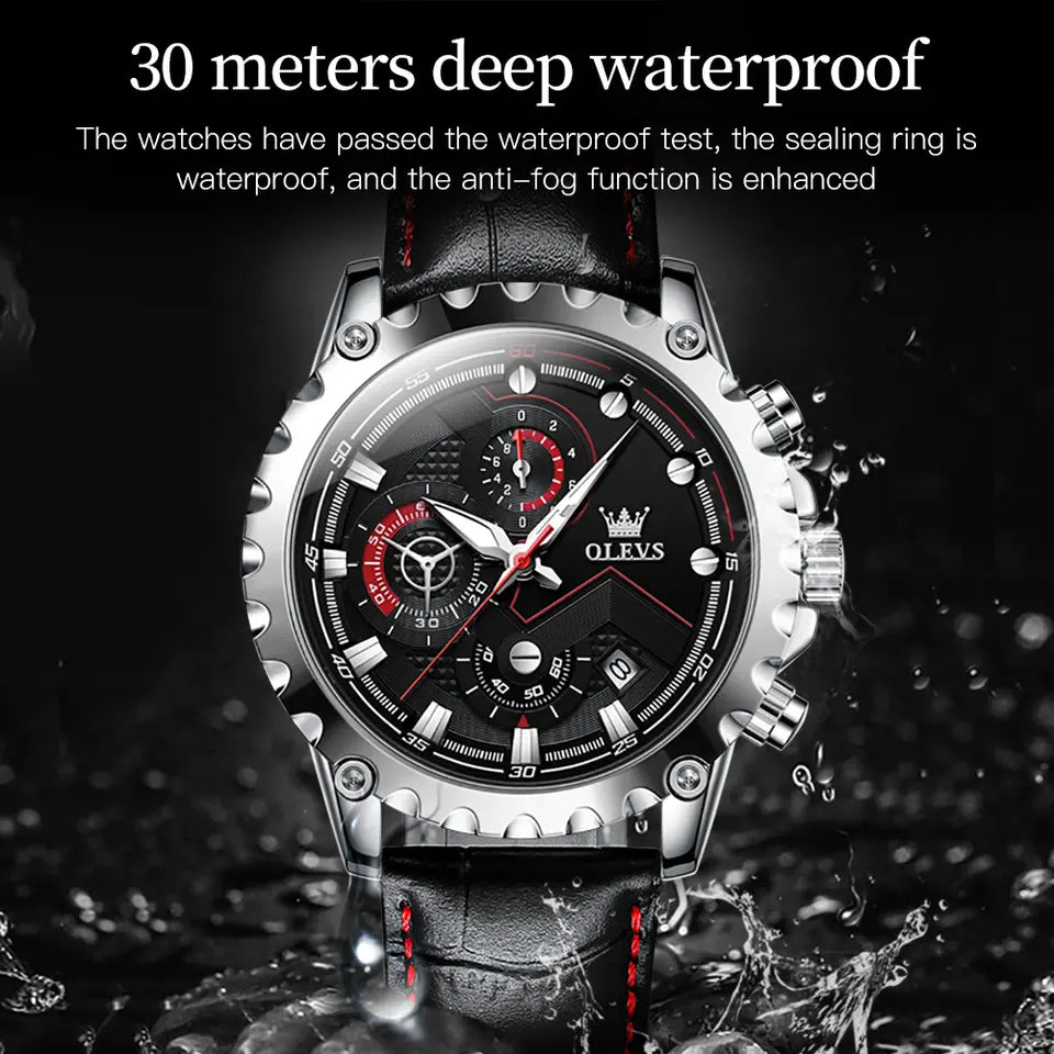 OLEVS Leather 2873 watch